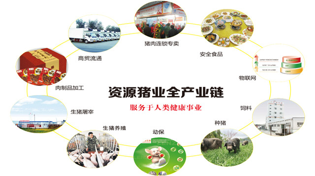 鑫禾国际游戏平台 - welcome