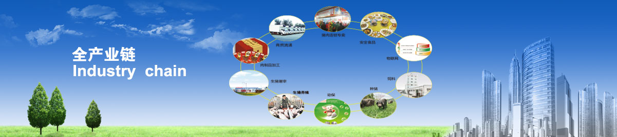 鑫禾国际游戏平台 - welcome